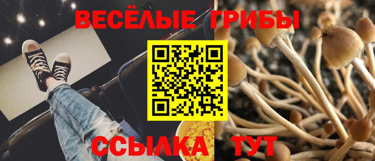 Канабис  Меф МЯУ МЯУ   APVP СОЛЬ кристаллы  Кокаин  Магнитогорск  Как найти закладки?  Гашиш  Меф  Вход с VPN 
