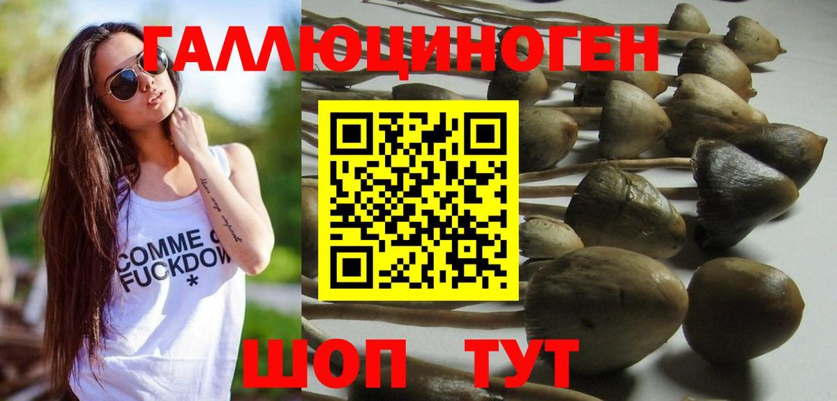 Псилоцибиновые грибы прущие грибы  Вход с VPN  Магнитогорск  Псилоцибиновые грибы Magic Shrooms 